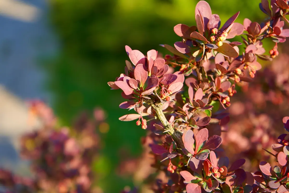 emoji marketing digital