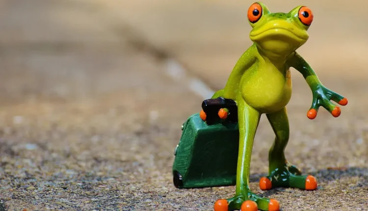 Aventura e Descobertas: O Melhor Guia Para Sua Próxima Viagem