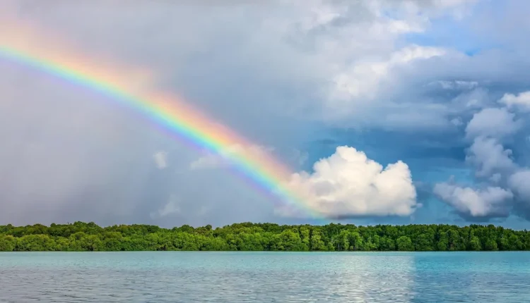 Beleza Deslumbrante: Descubra os Segredos do Encanto Natural