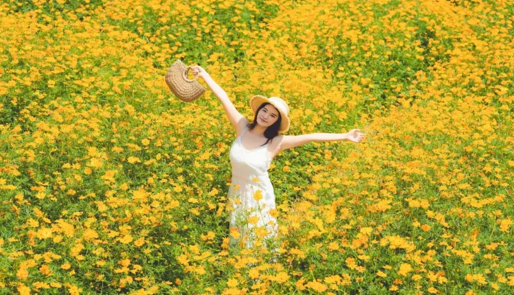 Beleza e Atração: Estratégias para Otimização SEO Perfeita