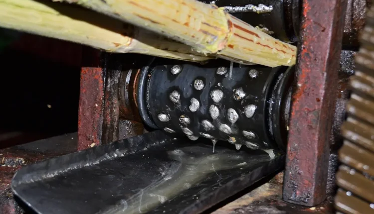 Caldo de cana escuro: pode tomar ou indica problema?