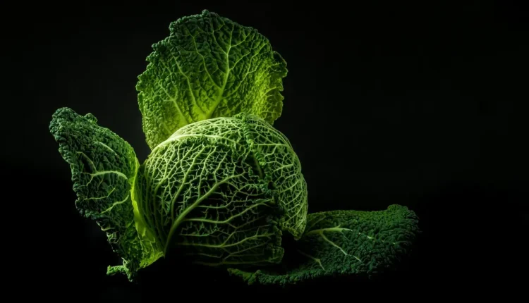 Certificação halal: o que é e como obter para produtos alimentícios