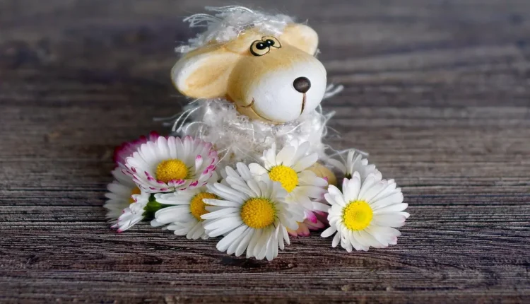 Como agradecer uma loja no instagram: mensagens profissionais e elegantes