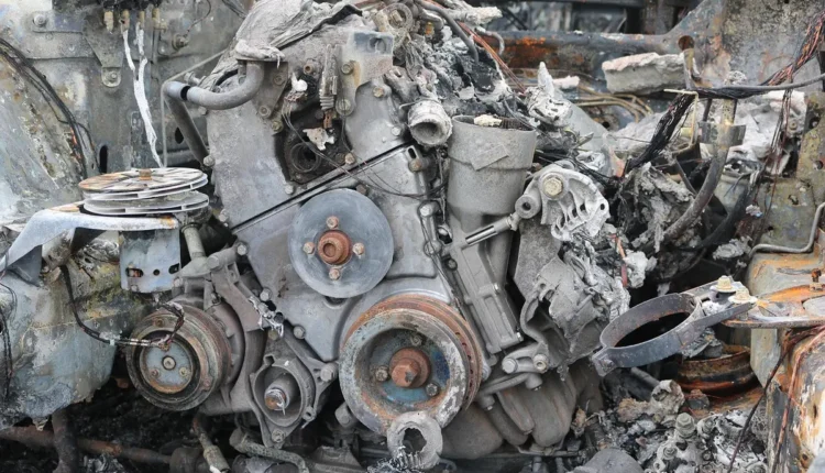 Como ser um ponto de coleta magalu: requisitos e cadastro