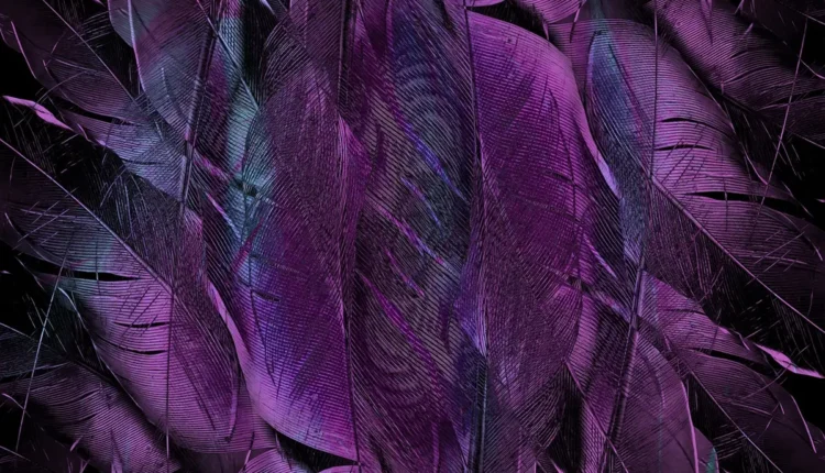 Decoração Vibrante para Ambientes Únicos