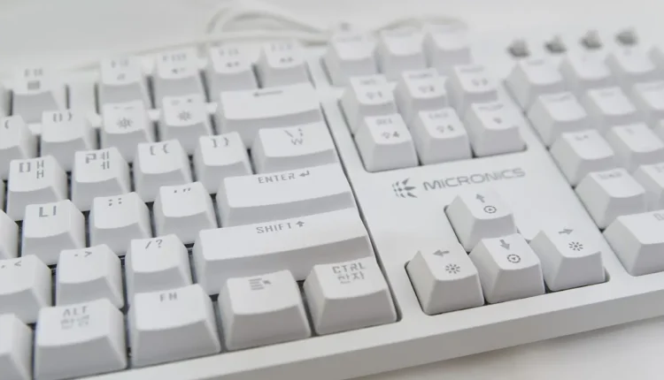 Dicas Essenciais para Escolher a Palavra Chave Perfeita para seu Blog