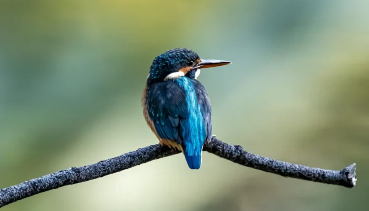 Guia Completo para Criar um Perfil Incrível no ""