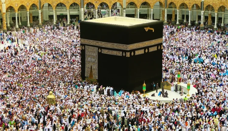 Guia Completo para um "" Eficiente