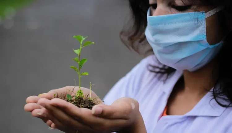 Hipócrita é xingamento: classificação e uso da palavra