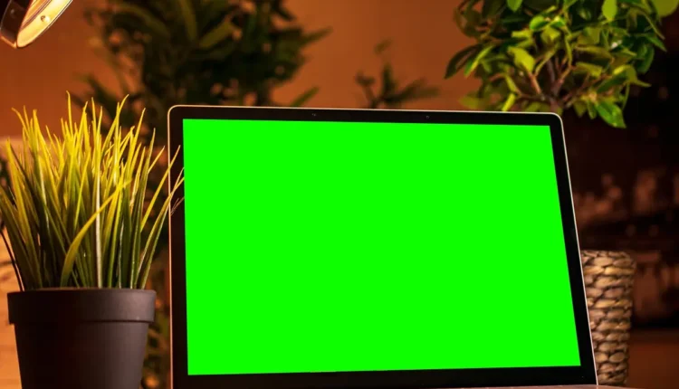 Influencers mais ricos do Brasil: ranking com os maiores faturamentos