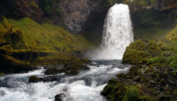 Inspirando-se na Beleza: Como Otimizar Seu Blog para SEO