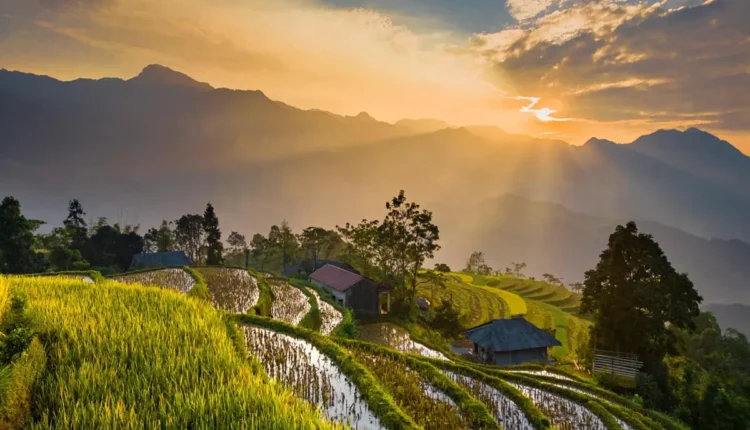 Inspiração para uma Vida mais Plena