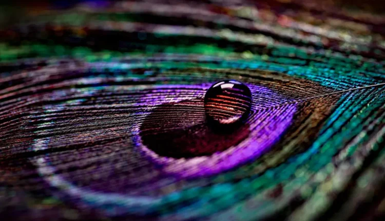 Joia mais cara da vivara: peça de maior valor da joalheria