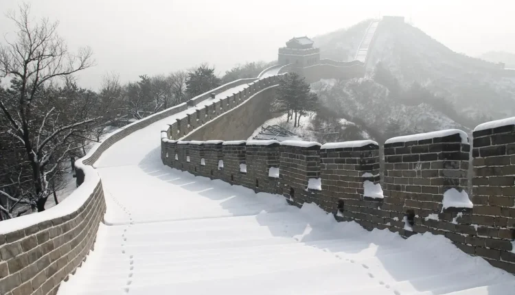 Key user sap: função e importância deste profissional