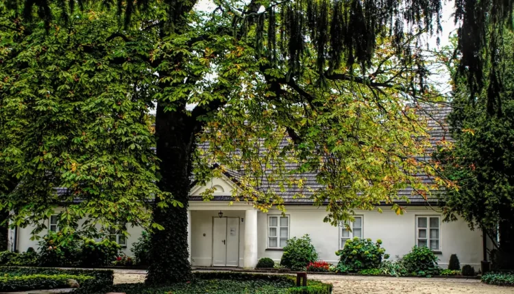 Marina senna wikipédia: biografia da personalidade