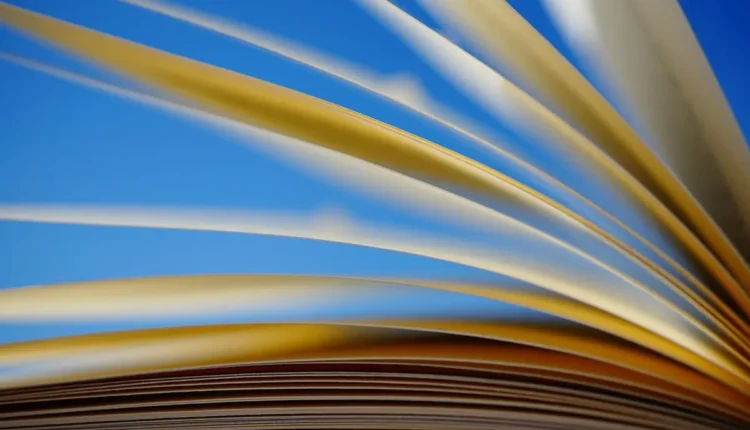 Professor p1: o que significa esta classificação docente