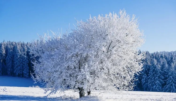 Roteiro Para Explorar Maravilhas Escondidas