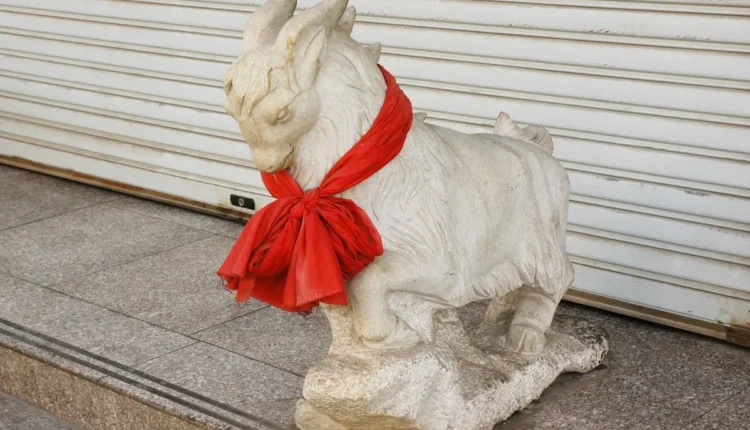 Totem ou token: diferenças entre os termos explicadas