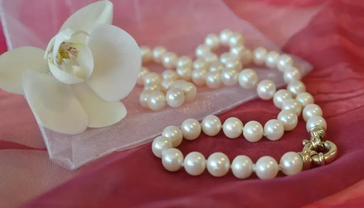 Transforme Seus Ambientes com Decoração Criativa