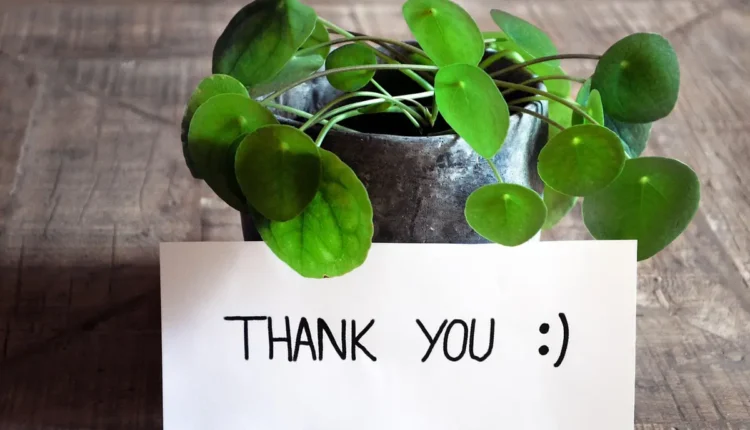 Tres pontos a desenvolver: como responder em avaliação de desempenho