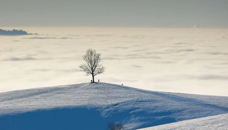 Verão em Bariloche: vale a pena visitar fora da temporada de neve?